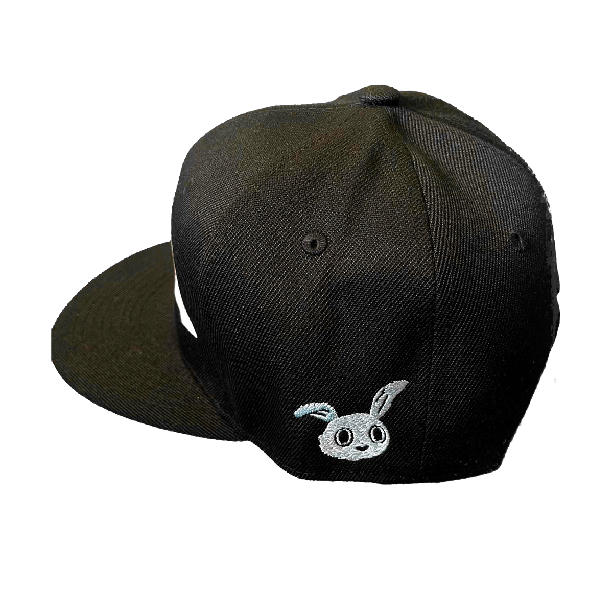 ZOA Embroidered Snapback Hat